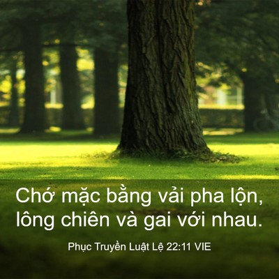 Picture 03 - Phục Truyền Luật Lệ 22:11 VIE - Chớ mặc bằng vải pha lộn, lông chiên - Bible Verse Picture