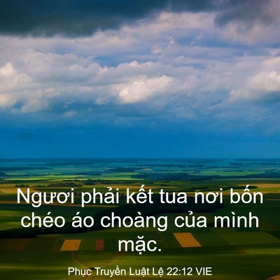 Picture 03 - Phục Truyền Luật Lệ 22:12 VIE - Ngươi phải kết tua nơi bốn chéo áo - Bible Verse Picture
