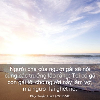 Picture 03 - Phục Truyền Luật Lệ 22:16 VIE - Người cha của người gái sẽ nói cùng - Bible Verse Picture