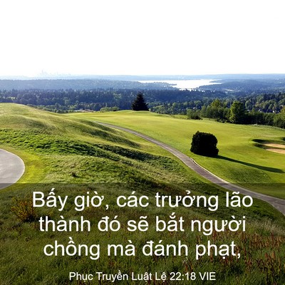 Picture 03 - Phục Truyền Luật Lệ 22:18 VIE - Bấy giờ, các trưởng lão thành đó sẽ - Bible Verse Picture