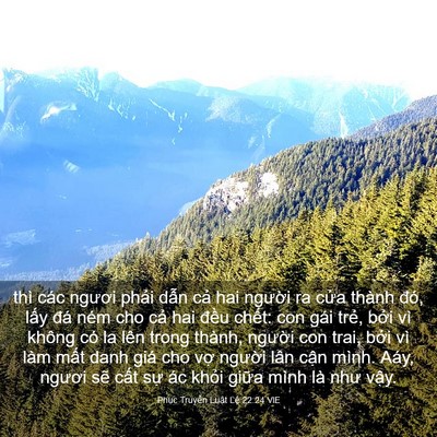 Picture 03 - Phục Truyền Luật Lệ 22:24 VIE - thì các ngươi phải dẫn cả hai người - Bible Verse Picture