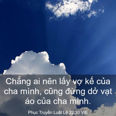 Picture 03 - Phục Truyền Luật Lệ 22:30 VIE - Chẳng ai nên lấy vợ kế của cha mình, - Bible Verse Picture