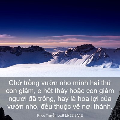 Picture 03 - Phục Truyền Luật Lệ 22:9 VIE - Chớ trồng vườn nho mình hai thứ con - Bible Verse Picture