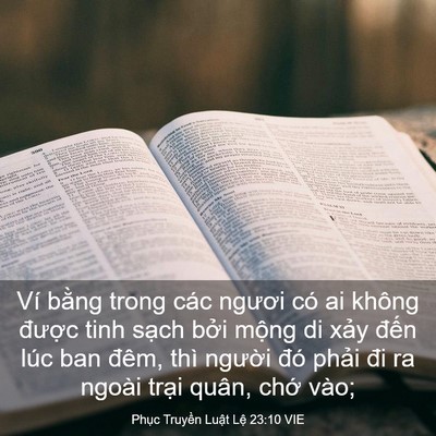 Picture 03 - Phục Truyền Luật Lệ 23:10 VIE - Ví bằng trong các ngươi có ai không - Bible Verse Picture