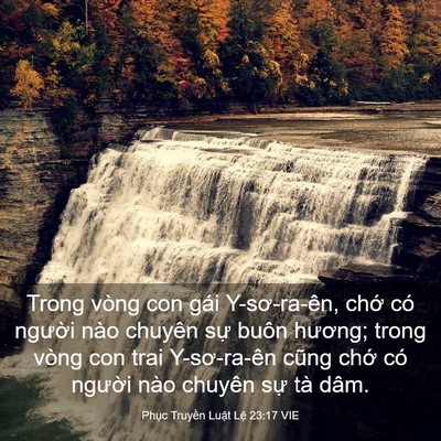 Picture 03 - Phục Truyền Luật Lệ 23:17 VIE - Trong vòng con gái Y-sơ-ra-ên, chớ có - Bible Verse Picture