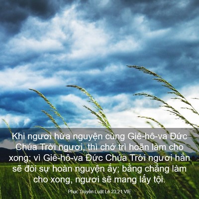 Picture 03 - Phục Truyền Luật Lệ 23:21 VIE - Khi ngươi hứa nguyện cùng Giê-hô-va - Bible Verse Picture