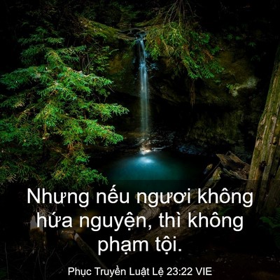 Picture 03 - Phục Truyền Luật Lệ 23:22 VIE - Nhưng nếu ngươi không hứa nguyện, thì - Bible Verse Picture
