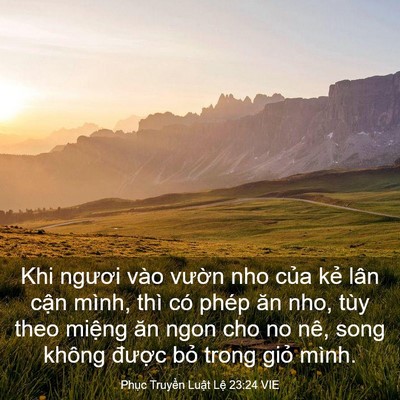 Picture 03 - Phục Truyền Luật Lệ 23:24 VIE - Khi ngươi vào vườn nho của kẻ lân - Bible Verse Picture