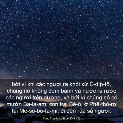 Picture 03 - Phục Truyền Luật Lệ 23:4 VIE - bởi vì khi các ngươi ra khỏi xứ - Bible Verse Picture