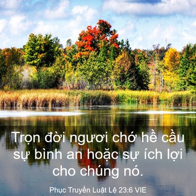 Picture 03 - Phục Truyền Luật Lệ 23:6 VIE - Trọn đời ngươi chớ hề cầu sự bình - Bible Verse Picture