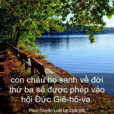 Picture 03 - Phục Truyền Luật Lệ 23:8 VIE - con cháu họ sanh về đời thứ ba sẽ - Bible Verse Picture