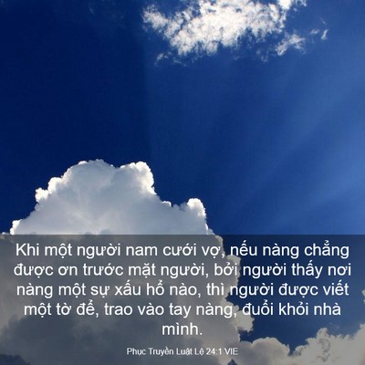 Picture 03 - Phục Truyền Luật Lệ 24:1 VIE - Khi một người nam cưới vợ, nếu nàng - Bible Verse Picture