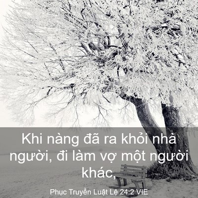 Picture 03 - Phục Truyền Luật Lệ 24:2 VIE - Khi nàng đã ra khỏi nhà người, đi làm - Bible Verse Picture