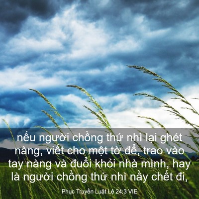 Picture 03 - Phục Truyền Luật Lệ 24:3 VIE - nếu người chồng thứ nhì lại ghét - Bible Verse Picture