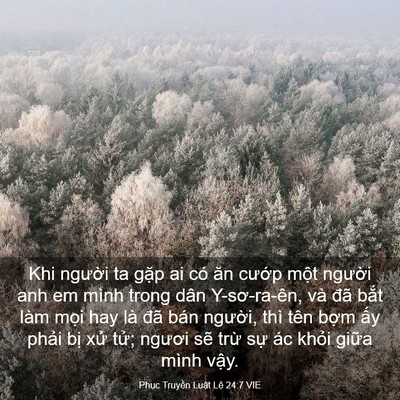 Picture 03 - Phục Truyền Luật Lệ 24:7 VIE - Khi người ta gặp ai có ăn cướp một - Bible Verse Picture