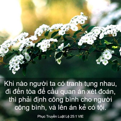 Picture 03 - Phục Truyền Luật Lệ 25:1 VIE - Khi nào người ta có tranh tụng nhau, đi - Bible Verse Picture
