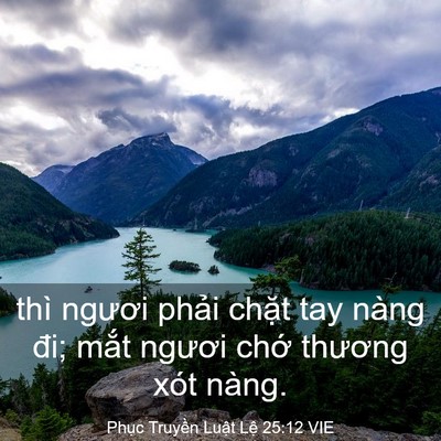Picture 03 - Phục Truyền Luật Lệ 25:12 VIE - thì ngươi phải chặt tay nàng đi; mắt - Bible Verse Picture