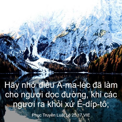 Picture 03 - Phục Truyền Luật Lệ 25:17 VIE - Hãy nhớ điều A-ma-léc đã làm cho - Bible Verse Picture