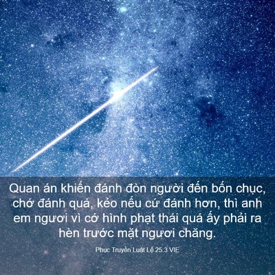 Picture 03 - Phục Truyền Luật Lệ 25:3 VIE - Quan án khiến đánh đòn người đến - Bible Verse Picture