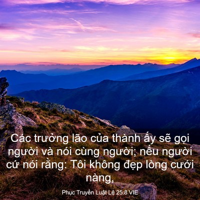Picture 03 - Phục Truyền Luật Lệ 25:8 VIE - Các trưởng lão của thành ấy sẽ gọi - Bible Verse Picture