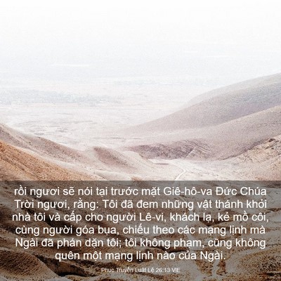 Picture 03 - Phục Truyền Luật Lệ 26:13 VIE - rồi ngươi sẽ nói tại trước mặt - Bible Verse Picture
