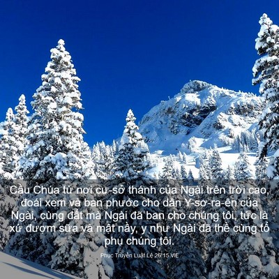 Picture 03 - Phục Truyền Luật Lệ 26:15 VIE - Cầu Chúa từ nơi cư-sở thánh của Ngài - Bible Verse Picture