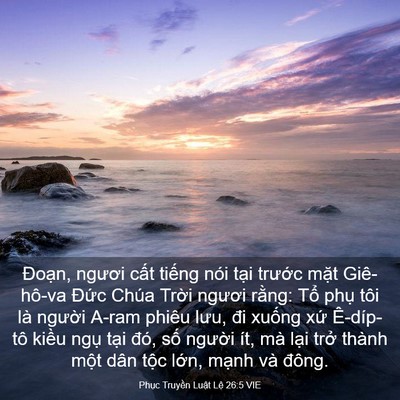 Picture 03 - Phục Truyền Luật Lệ 26:5 VIE - Đoạn, ngươi cất tiếng nói tại - Bible Verse Picture