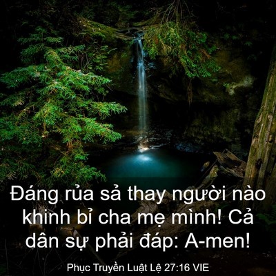 Picture 03 - Phục Truyền Luật Lệ 27:16 VIE - Đáng rủa sả thay người nào khinh bỉ - Bible Verse Picture