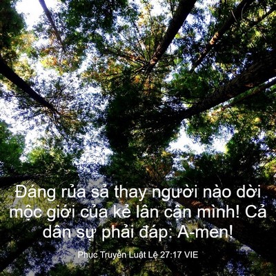 Picture 03 - Phục Truyền Luật Lệ 27:17 VIE - Đáng rủa sả thay người nào dời mộc - Bible Verse Picture