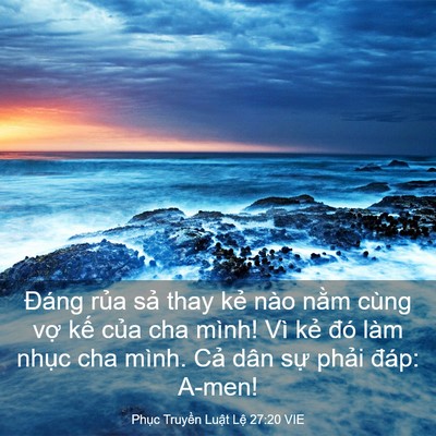 Picture 03 - Phục Truyền Luật Lệ 27:20 VIE - Đáng rủa sả thay kẻ nào nằm cùng vợ - Bible Verse Picture