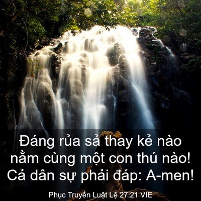 Picture 03 - Phục Truyền Luật Lệ 27:21 VIE - Đáng rủa sả thay kẻ nào nằm cùng - Bible Verse Picture