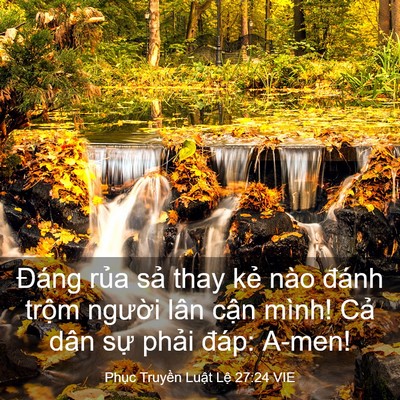 Picture 03 - Phục Truyền Luật Lệ 27:24 VIE - Đáng rủa sả thay kẻ nào đánh trộm - Bible Verse Picture
