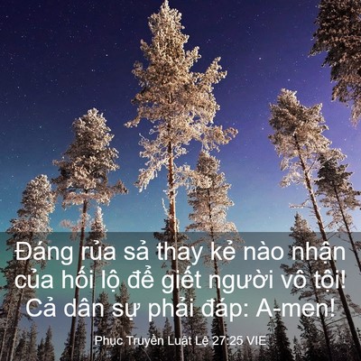Picture 03 - Phục Truyền Luật Lệ 27:25 VIE - Đáng rủa sả thay kẻ nào nhận của - Bible Verse Picture