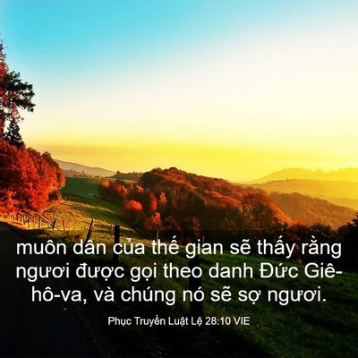 Picture 03 - Phục Truyền Luật Lệ 28:10 VIE - muôn dân của thế gian sẽ thấy rằng - Bible Verse Picture