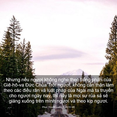 Picture 03 - Phục Truyền Luật Lệ 28:15 VIE - Nhưng nếu ngươi không nghe theo tiếng - Bible Verse Picture
