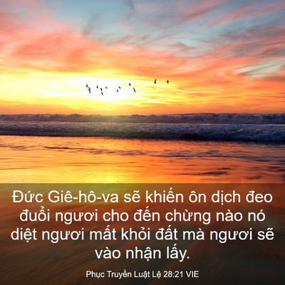 Picture 03 - Phục Truyền Luật Lệ 28:21 VIE - Đức Giê-hô-va sẽ khiến ôn dịch đeo - Bible Verse Picture