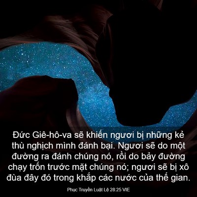 Picture 03 - Phục Truyền Luật Lệ 28:25 VIE - Đức Giê-hô-va sẽ khiến ngươi bị - Bible Verse Picture