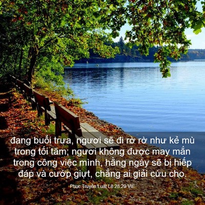 Picture 03 - Phục Truyền Luật Lệ 28:29 VIE - đang buổi trưa, ngươi sẽ đi rờ rờ - Bible Verse Picture