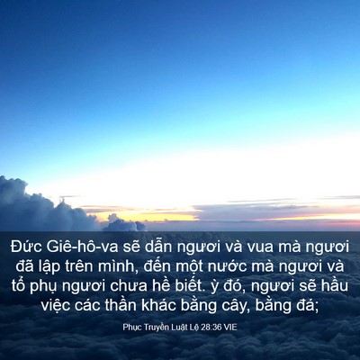 Picture 03 - Phục Truyền Luật Lệ 28:36 VIE - Đức Giê-hô-va sẽ dẫn ngươi và vua mà - Bible Verse Picture