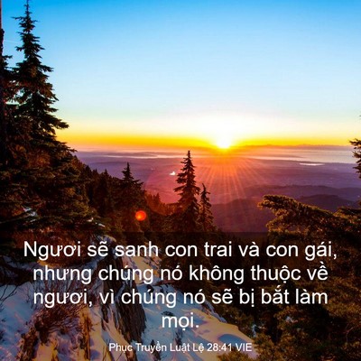 Picture 03 - Phục Truyền Luật Lệ 28:41 VIE - Ngươi sẽ sanh con trai và con gái, nhưng - Bible Verse Picture