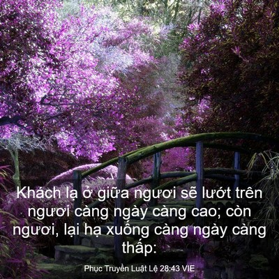 Picture 03 - Phục Truyền Luật Lệ 28:43 VIE - Khách lạ ở giữa ngươi sẽ lướt trên - Bible Verse Picture