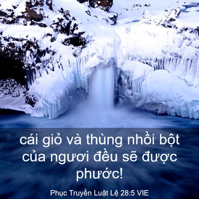 Picture 03 - Phục Truyền Luật Lệ 28:5 VIE - cái giỏ và thùng nhồi bột của ngươi - Bible Verse Picture