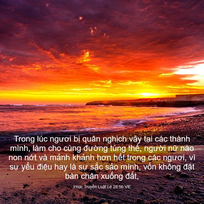 Picture 03 - Phục Truyền Luật Lệ 28:56 VIE - Trong lúc ngươi bị quân nghịch vây tại - Bible Verse Picture
