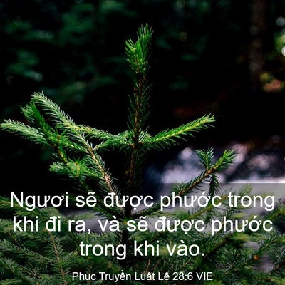 Picture 03 - Phục Truyền Luật Lệ 28:6 VIE - Ngươi sẽ được phước trong khi đi ra, - Bible Verse Picture