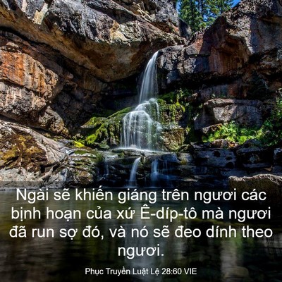Picture 03 - Phục Truyền Luật Lệ 28:60 VIE - Ngài sẽ khiến giáng trên ngươi các - Bible Verse Picture