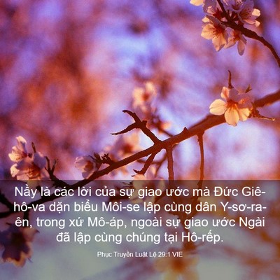 Picture 03 - Phục Truyền Luật Lệ 29:1 VIE - Nầy là các lời của sự giao ước mà - Bible Verse Picture
