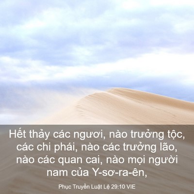 Picture 03 - Phục Truyền Luật Lệ 29:10 VIE - Hết thảy các ngươi, nào trưởng tộc, - Bible Verse Picture