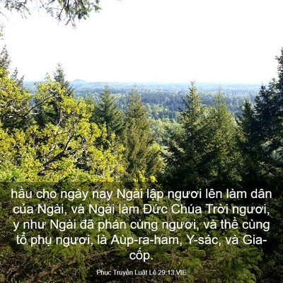 Picture 03 - Phục Truyền Luật Lệ 29:13 VIE - hầu cho ngày nay Ngài lập ngươi lên làm - Bible Verse Picture