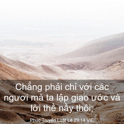 Picture 03 - Phục Truyền Luật Lệ 29:14 VIE - Chẳng phải chỉ với các ngươi mà ta - Bible Verse Picture