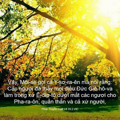 Picture 03 - Phục Truyền Luật Lệ 29:2 VIE - Vậy, Môi-se gọi cả Y-sơ-ra-ên mà nói - Bible Verse Picture